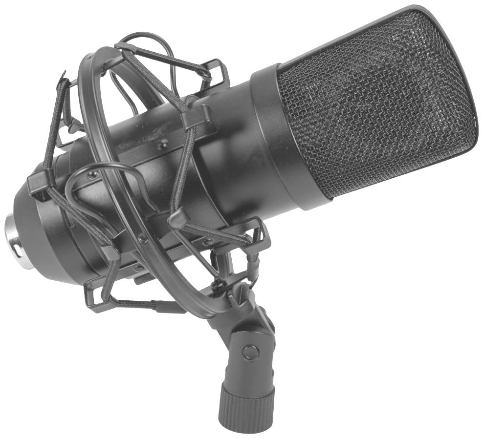 Ein schwarzes Studiomikrofon in einer Spinne, das leicht nach vorne geneigt ist. Ideal für Tonaufnahmen oder Podcasts.