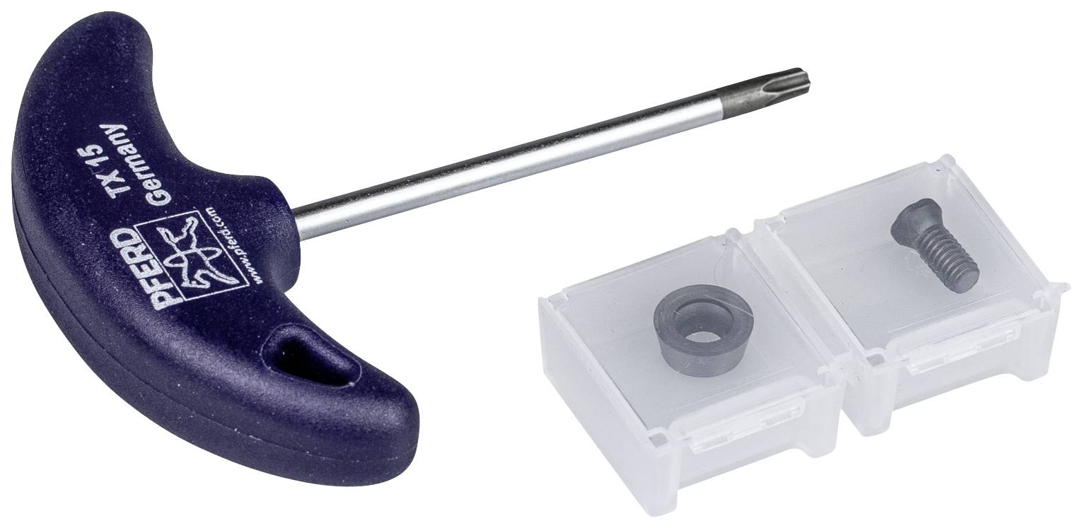 Ein T-Griff-Multifunktionsschlüssel mit Torx-Bit TX 15 neben zwei kleinen, offenen Kunststoffboxen, die eine Schraube und einen Ring enthalten.