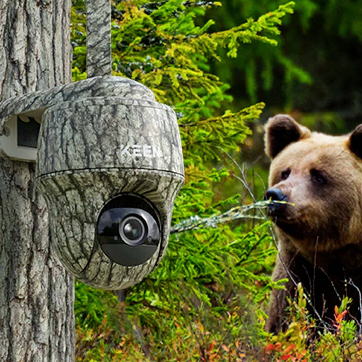 KEEN Ranger PT Wildkamera 4 Megapixel GSM-Modul, Zeitrafferfunktion, 4G Bildübertragung Camouflage