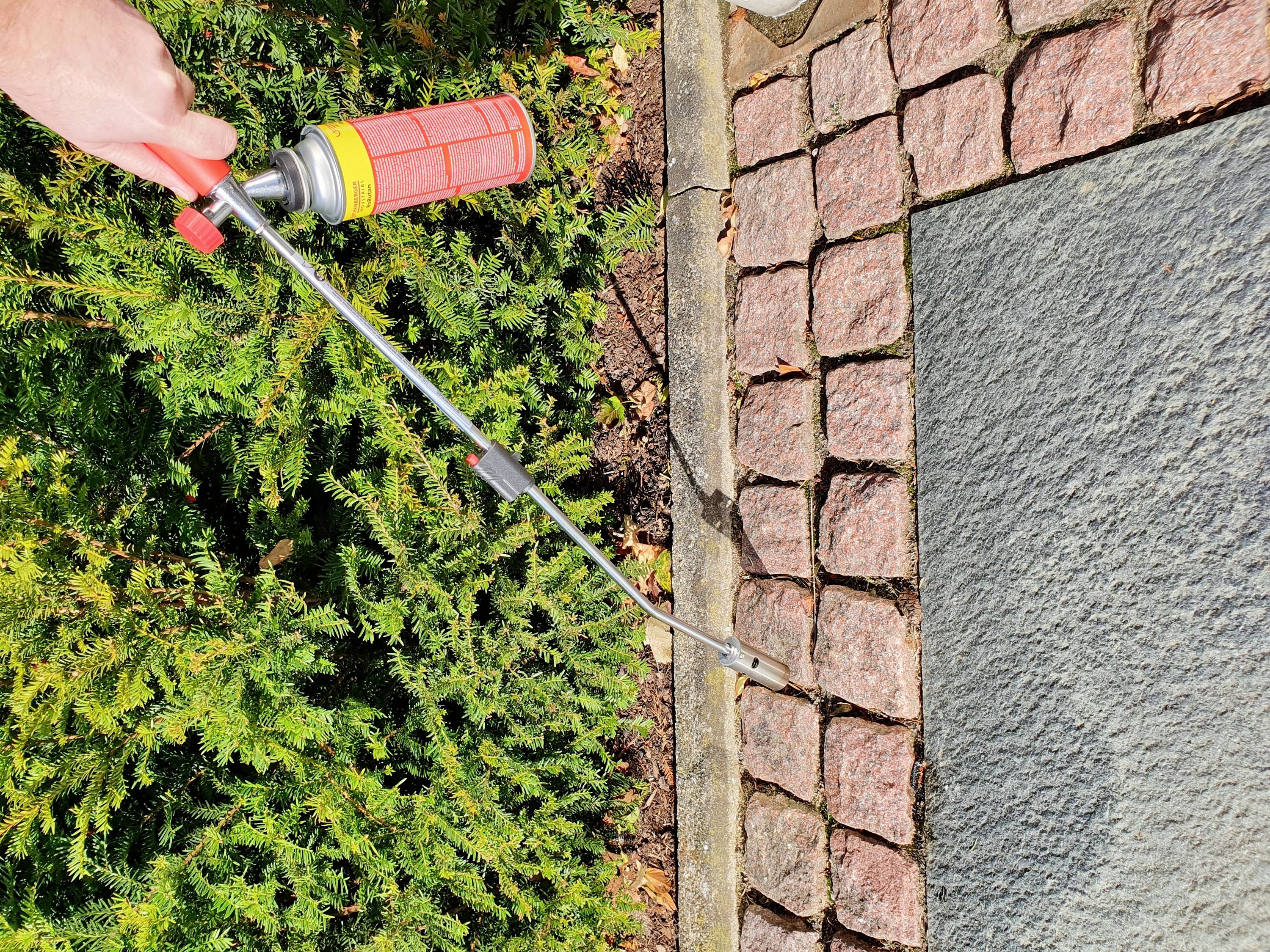 Eine Person verwendet ein Unkrautbrennergerät, um Unkraut zwischen Pflastersteinen auf einem Gehweg zu entfernen. Im Hintergrund sind grüne Sträucher zu sehen.