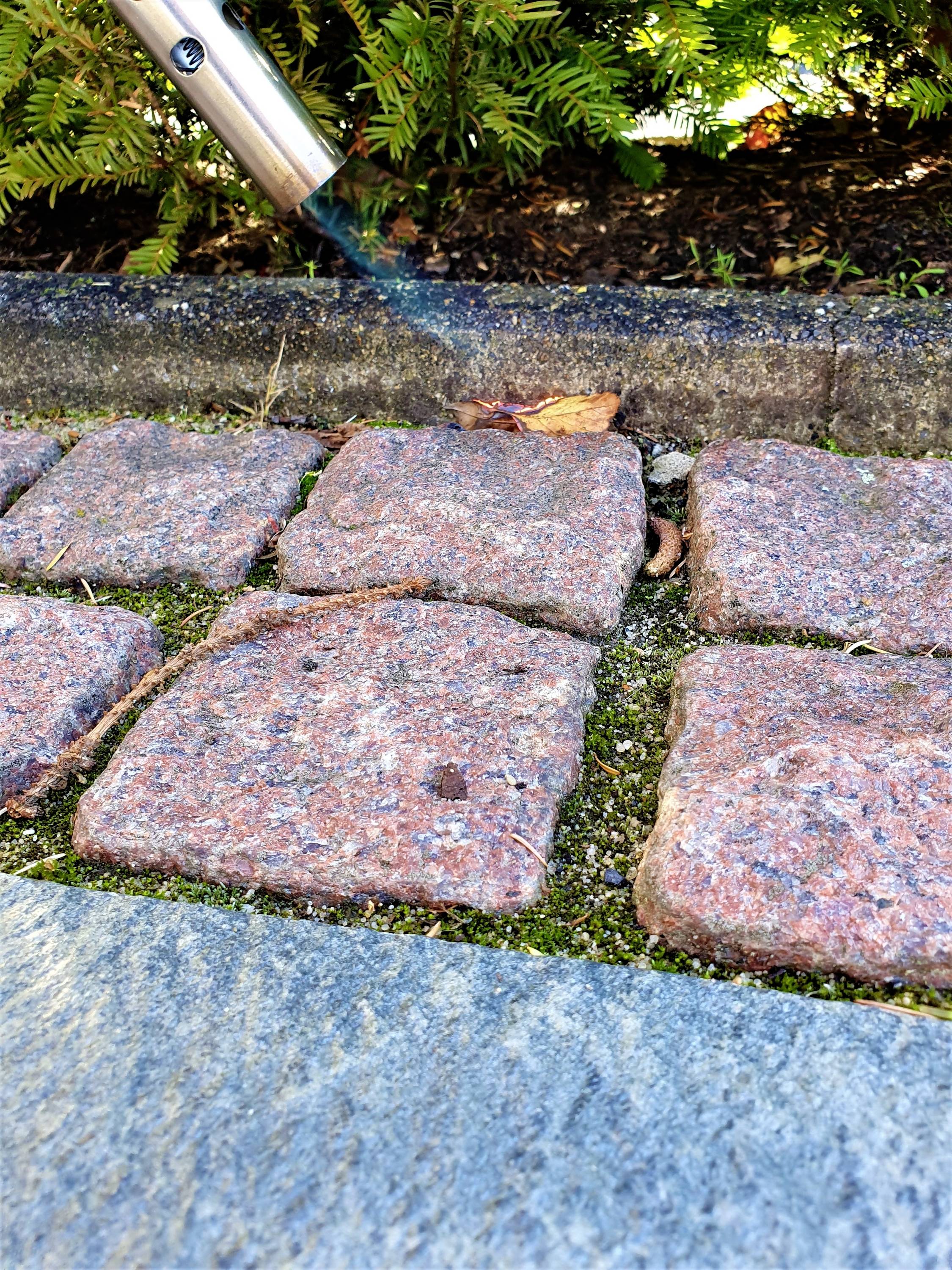 Nahaufnahme von Granitpflastersteinen, daneben eine dünne Metallröhre, die einen blauen Flammenstrahl erzeugt. Im Hintergrund sind Pflanzen sichtbar.