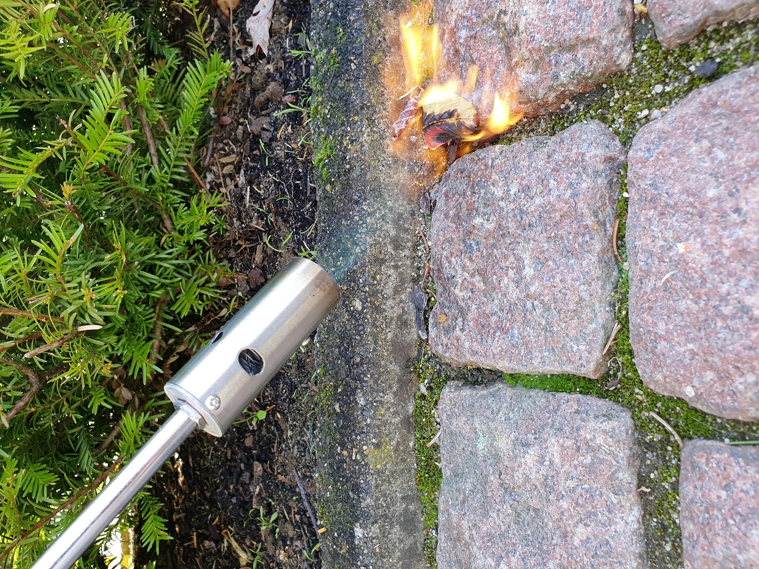 Ein Metallgerät bringt Flammen auf Unkraut zwischen Pflastersteinen, um es zu entfernen. Im Hintergrund sind grüne Büsche zu sehen.