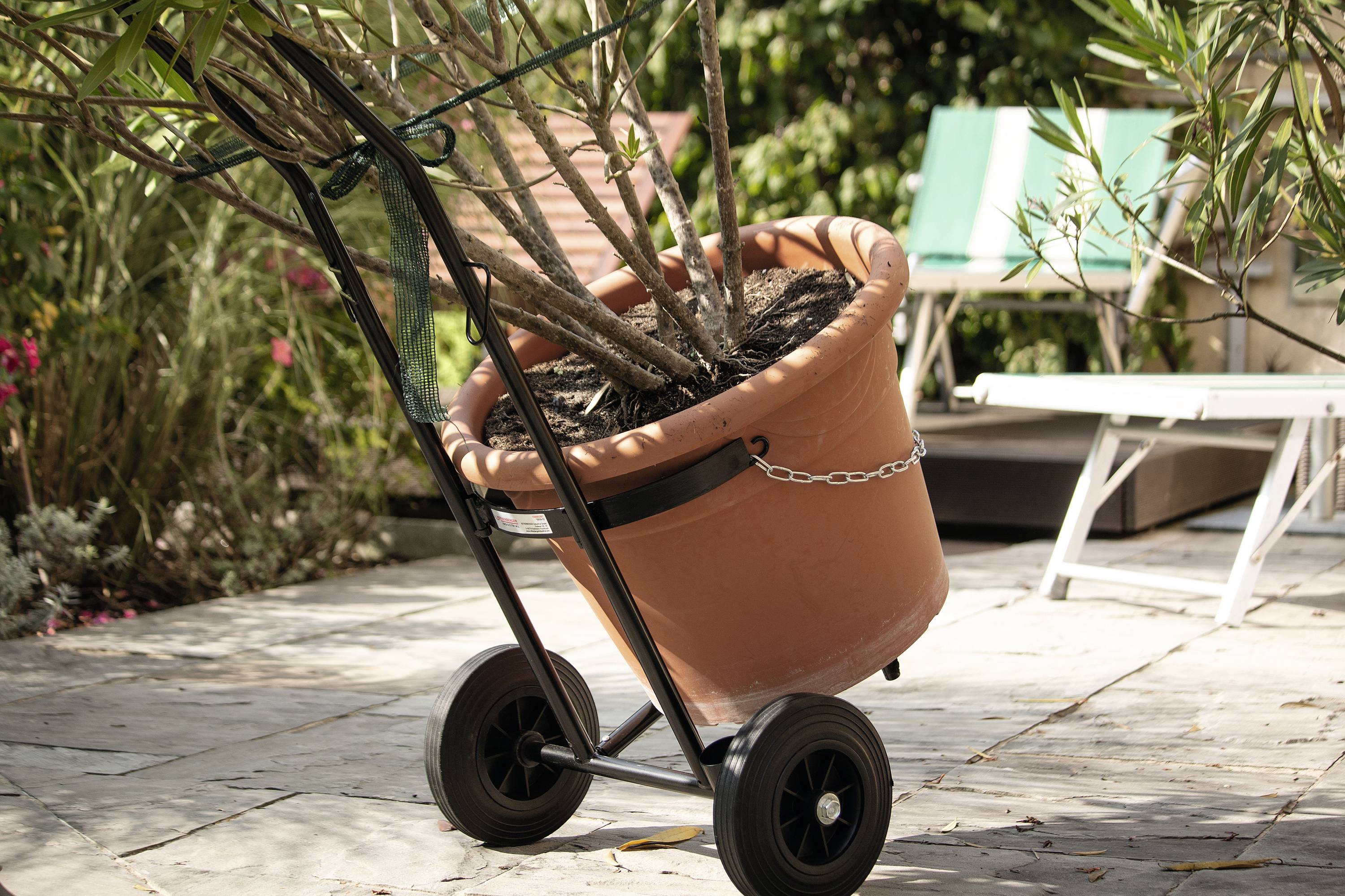 Ein großer Blumentopf auf einem Handwagen steht auf einer Terrasse neben Gartenstühlen. Im Hintergrund sind grüne Pflanzen.