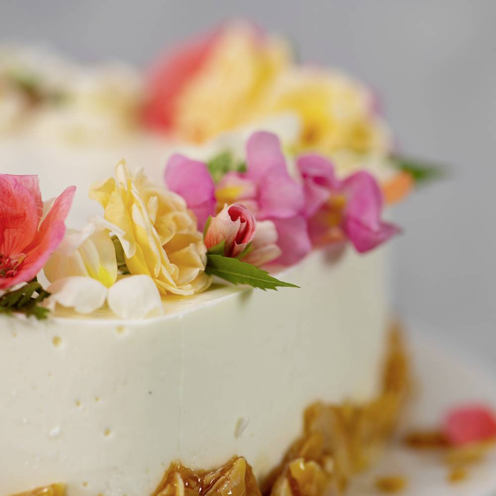Ein weißer Kuchen mit bunter Blumenverzierung oben, umgeben von rosa, gelben und orangenen Blütenblättern.