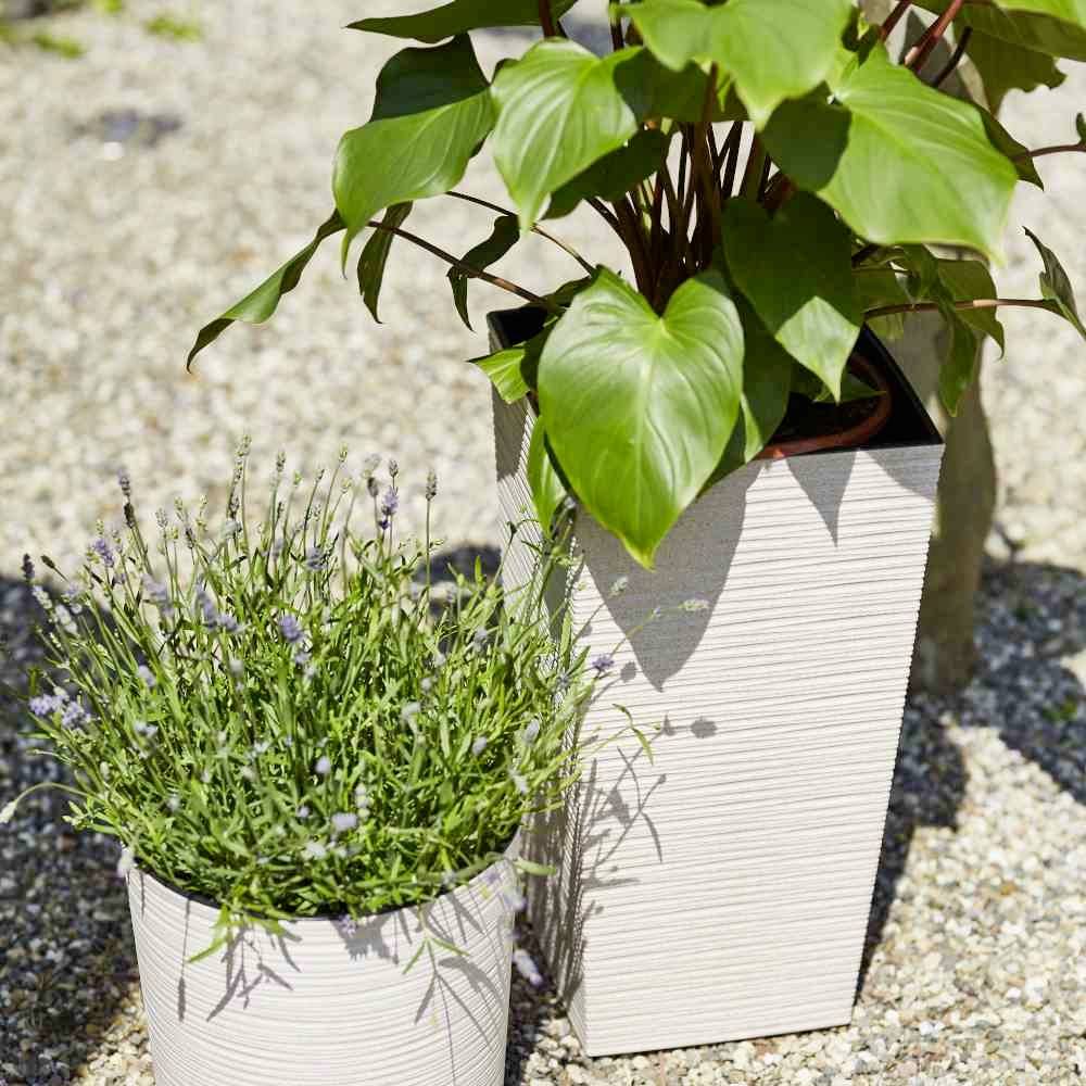 Siena Garden 831_05 83105Pflanzgefäß Kunststoff Weiß