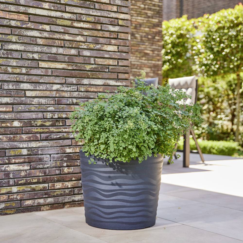 Siena Garden 45-50-02-GA 455002GA Pflanzgefäß Kunststoff Anthrazit