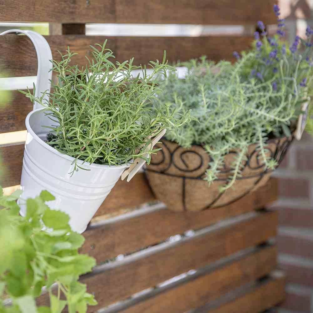 Siena Garden 722612 722612Pflanzgefäß Stahl Weiß