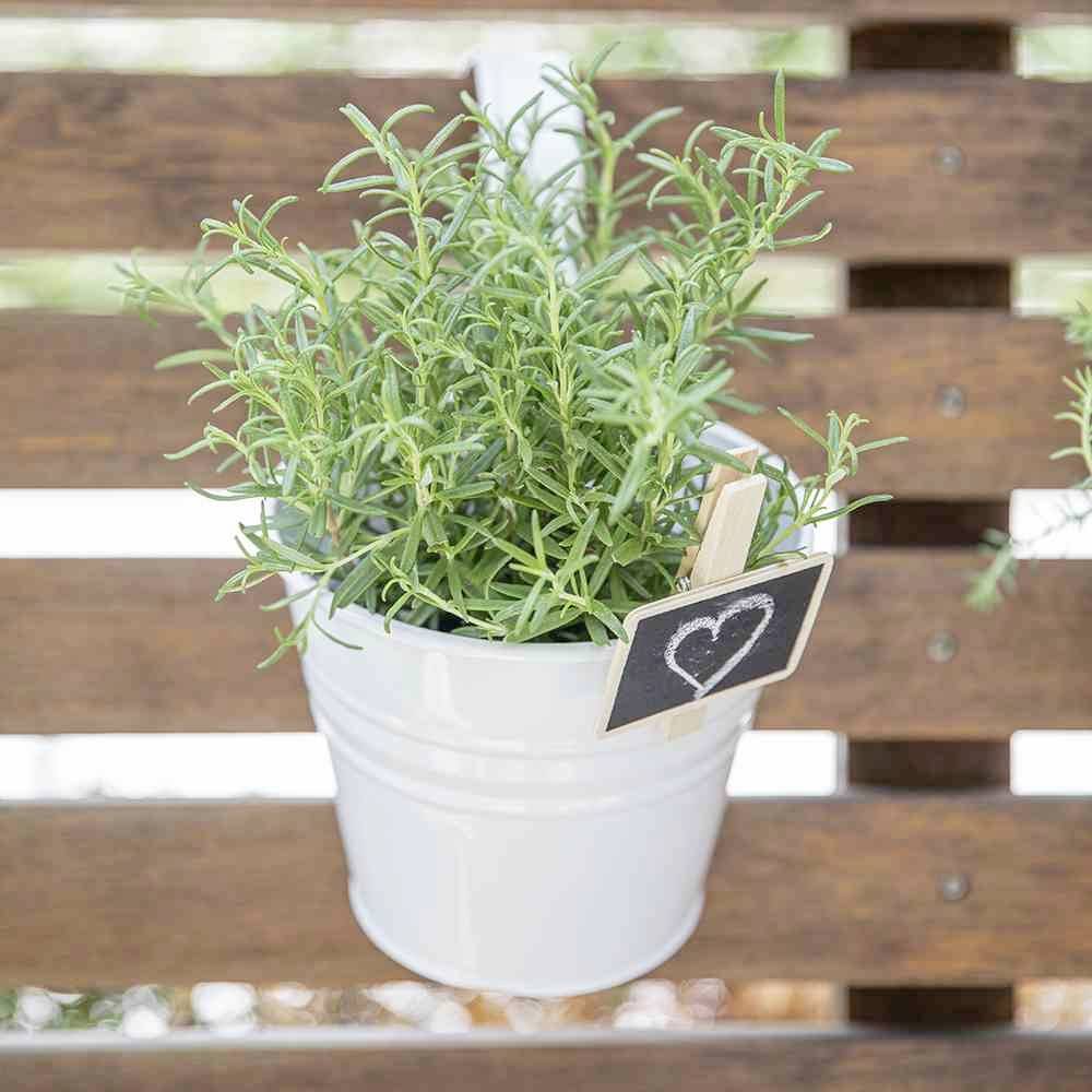 Siena Garden 722612 722612Pflanzgefäß Stahl Weiß