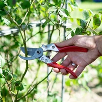 Siena Garden D69051 CG1030 Astschere Bypass Siena Garden D69051 CG1030 Astschere Bypass