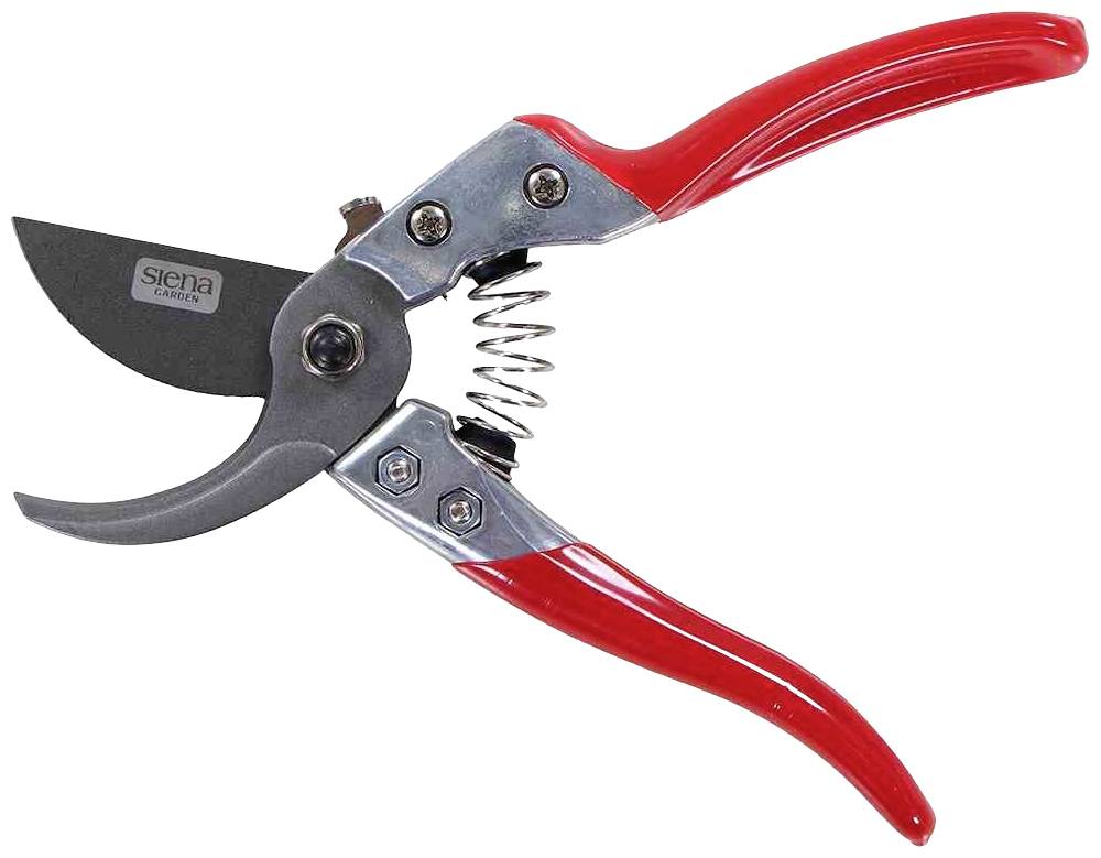 Rote Gartenschere mit Stahlklingen und Federmechanismus, geeignet zum Schneiden von Zweigen und Pflanzen.