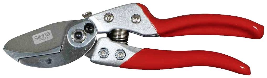 Eine Gartenschere mit roten Griffen und silberner Klinge, die für das Schneiden von Pflanzenästen verwendet wird.