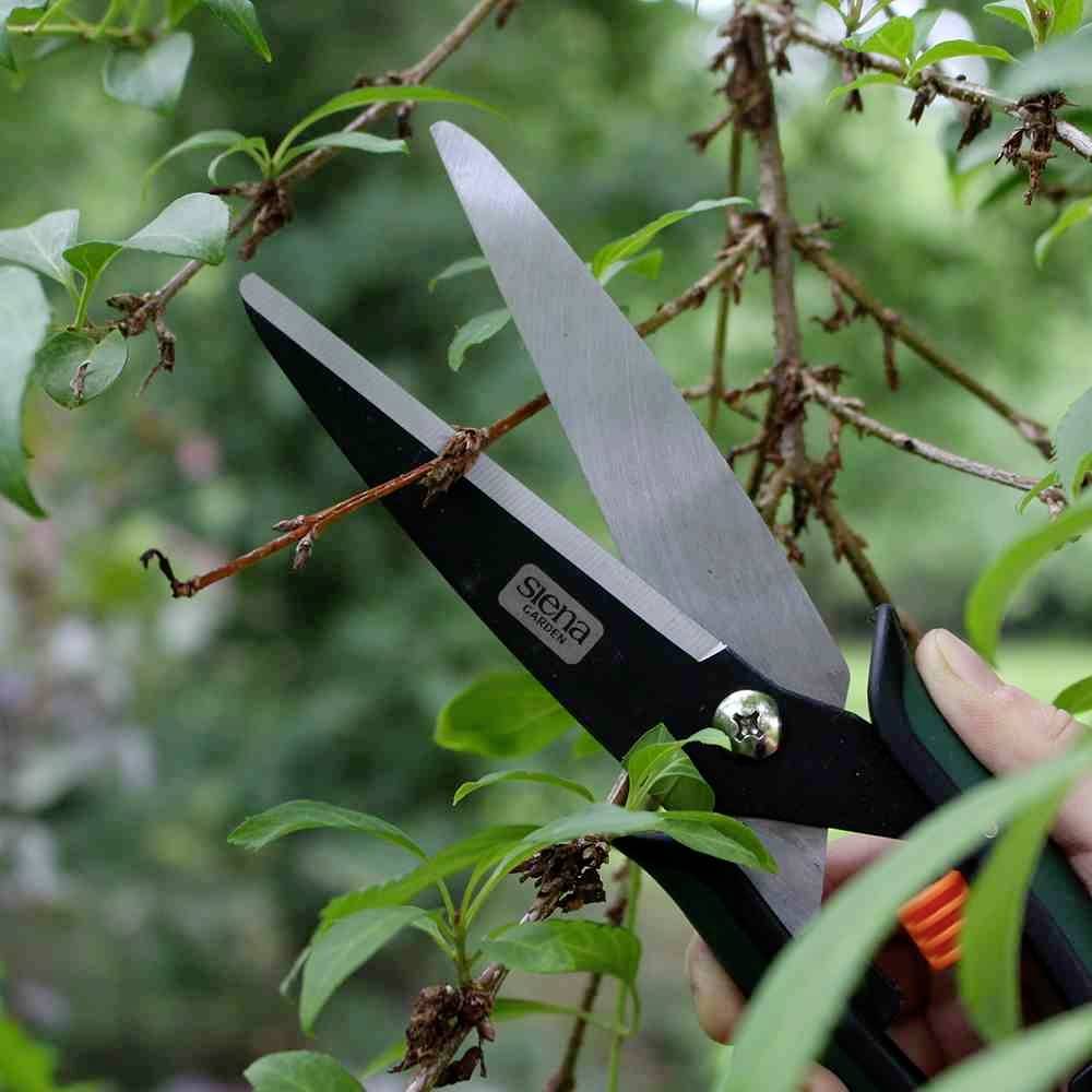 Siena Garden CB2120 CB2120 Gartenschere Bypass