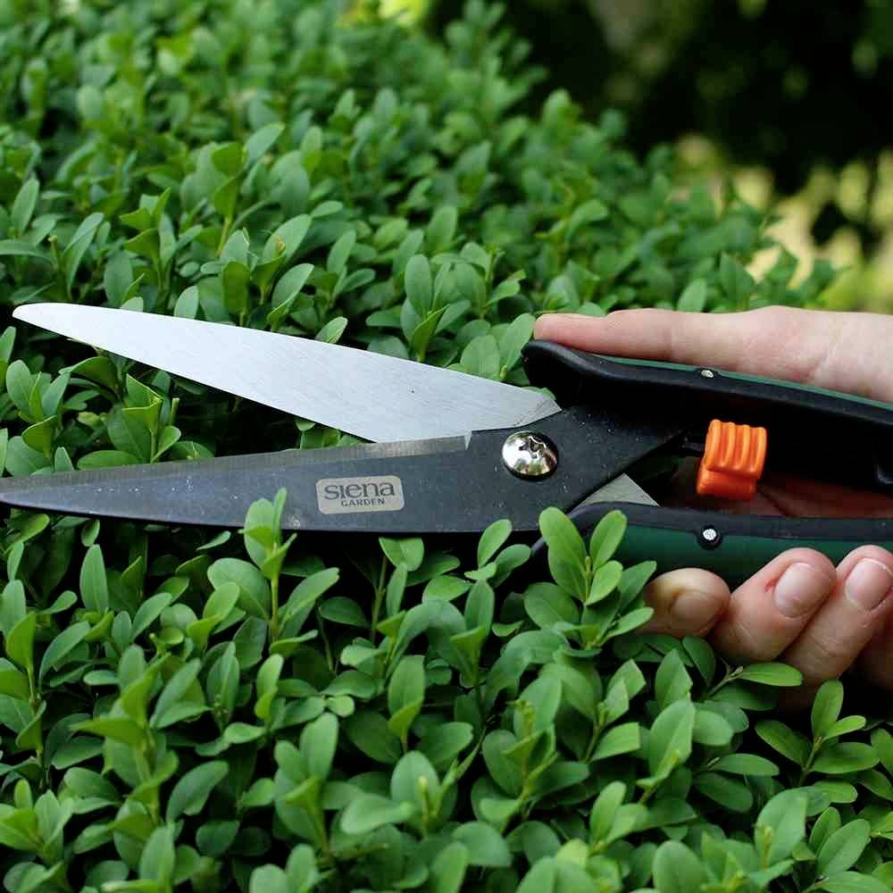 Siena Garden CB2120 CB2120 Gartenschere Bypass
