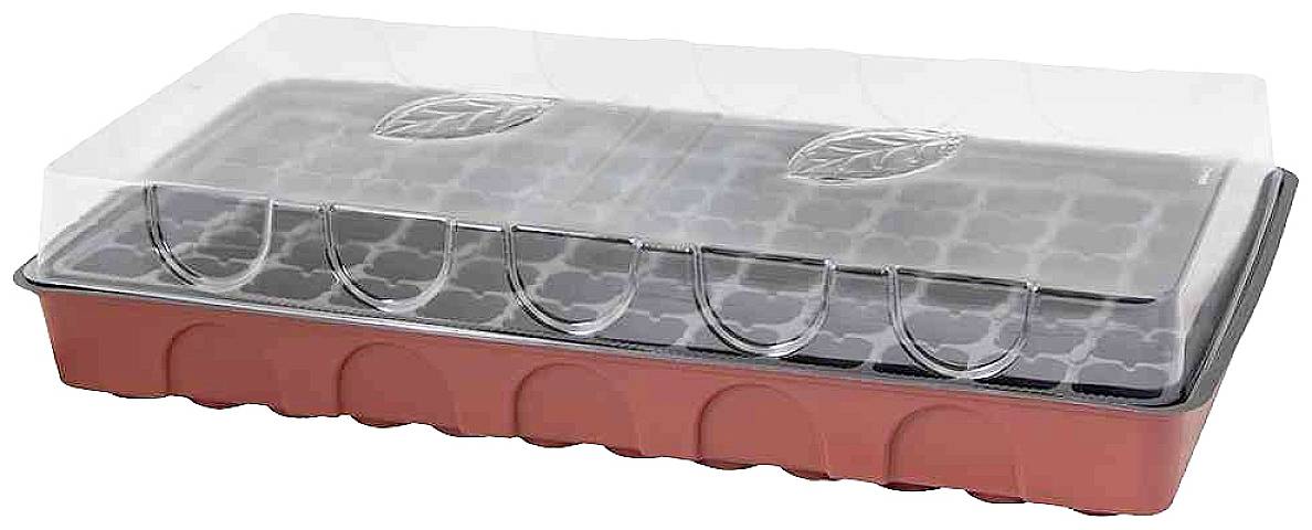 Kleines Gewächshaus aus Kunststoff mit durchsichtigem Deckel. Darunter befinden sich mehrere Saatplatten für die Pflanzenzucht.