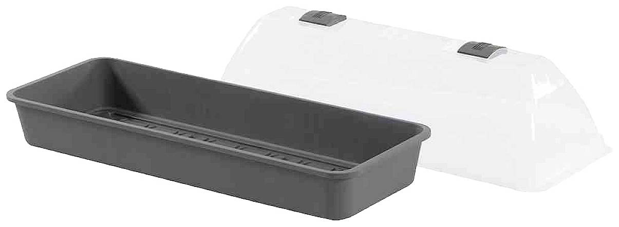 Eine rechteckige Keimschale mit grauer unterer Schale und transparentem Deckel mit Lüftungsöffnungen, optimal für Pflanzenanzucht.