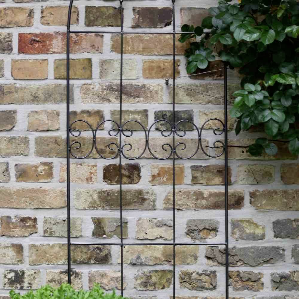 Ein schmiedeeiserner Gartenspalier lehnt an einer Ziegelmauer mit grünen Pflanzen, die von rechts in das Bild ragen.