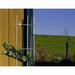 Siena Garden 857525 Fallrohrgitter 150cm weiß; für Fallrohr bis Ø 150mm 1St.