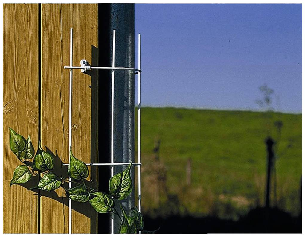 Siena Garden 678217 Fallrohrspalier braun; für Ø 150mm 1St.