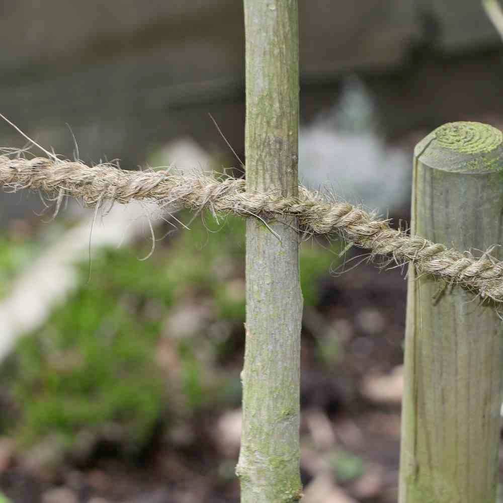 Ein dickes, raues Seil ist zwischen zwei Holzpfosten gespannt. Es scheint, als wäre es Teil eines einfachen Zaunes oder einer Abgrenzung. Im Hintergrund Grünfläche.