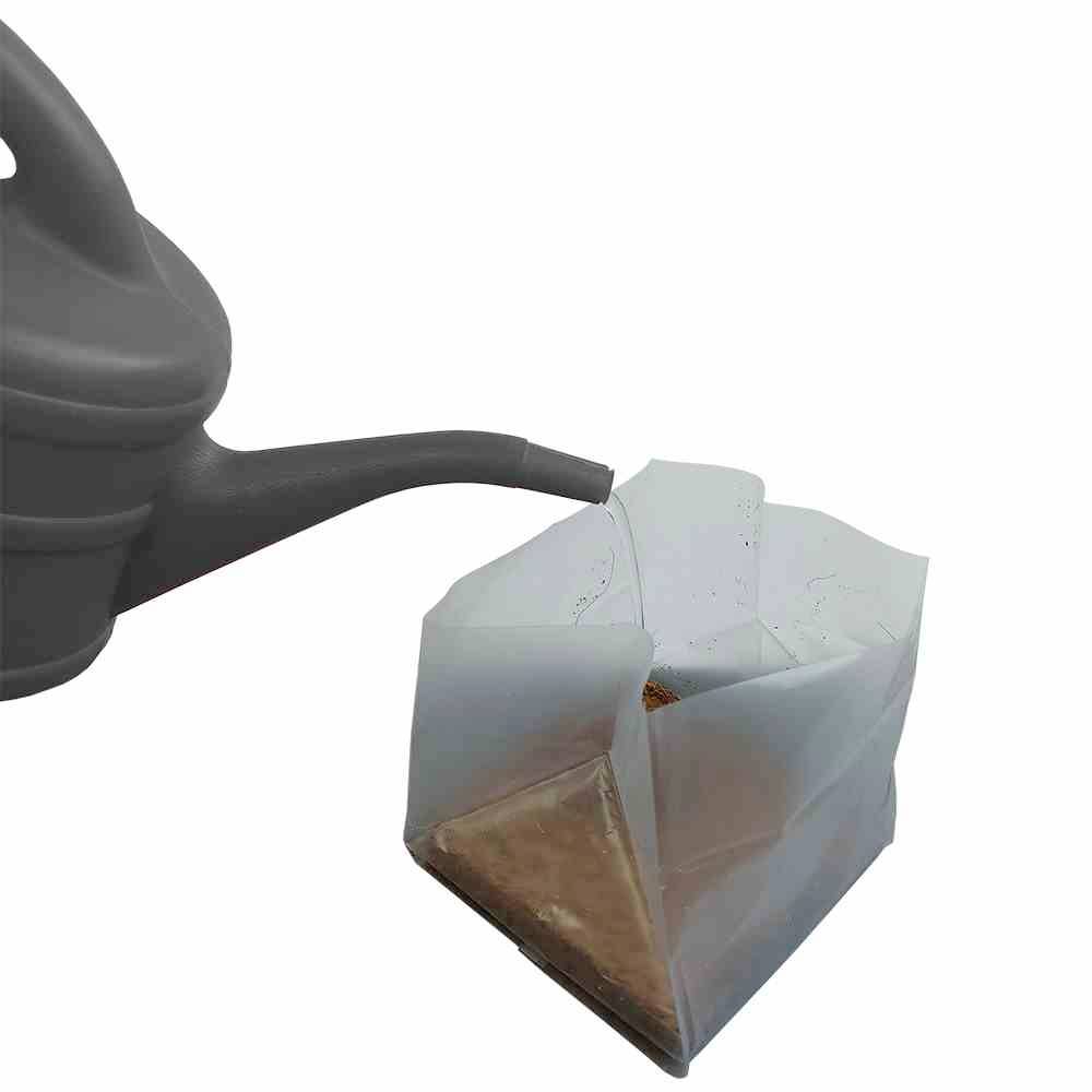 Siena Garden 80515 Saatset BBQ Dill, Thymian, Chilli; 29 x 19 x 19 cm 1 St.