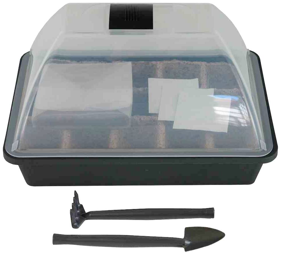 Siena Garden 80515 Saatset BBQ Dill, Thymian, Chilli; 29 x 19 x 19 cm 1 St.