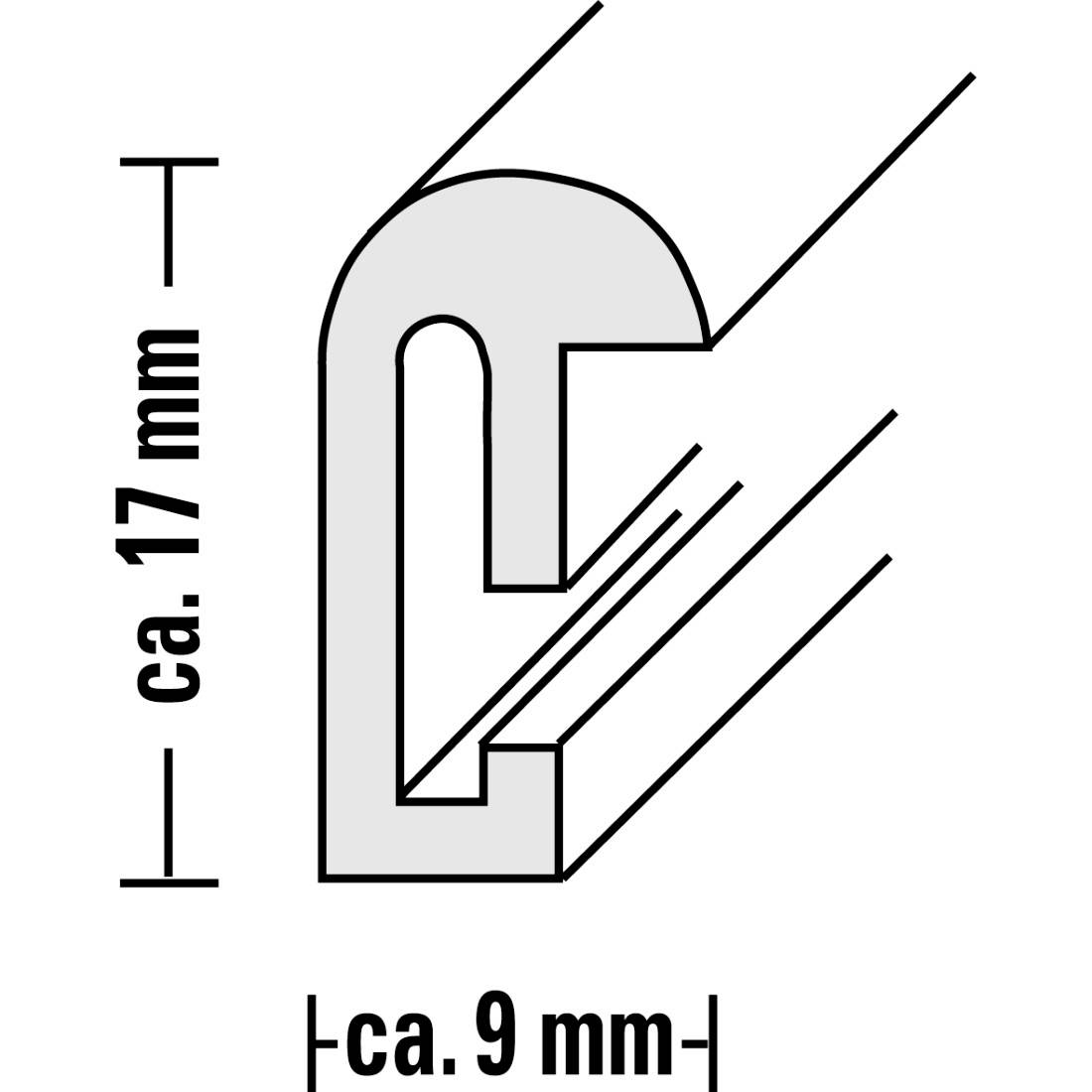 Technische Zeichnung eines Profils mit Maßen: Höhe ca. 17 mm, Breite ca. 9 mm. Queransicht mit angedeuteten Linien.