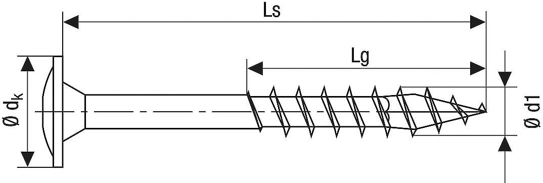 Technische Zeichnung einer Schraube mit Abmessungen: Gesamtlänge (Ls), Gewindelänge (Lg), Kopfdurchmesser (ø dk), Schaftdurchmesser (ø d1).