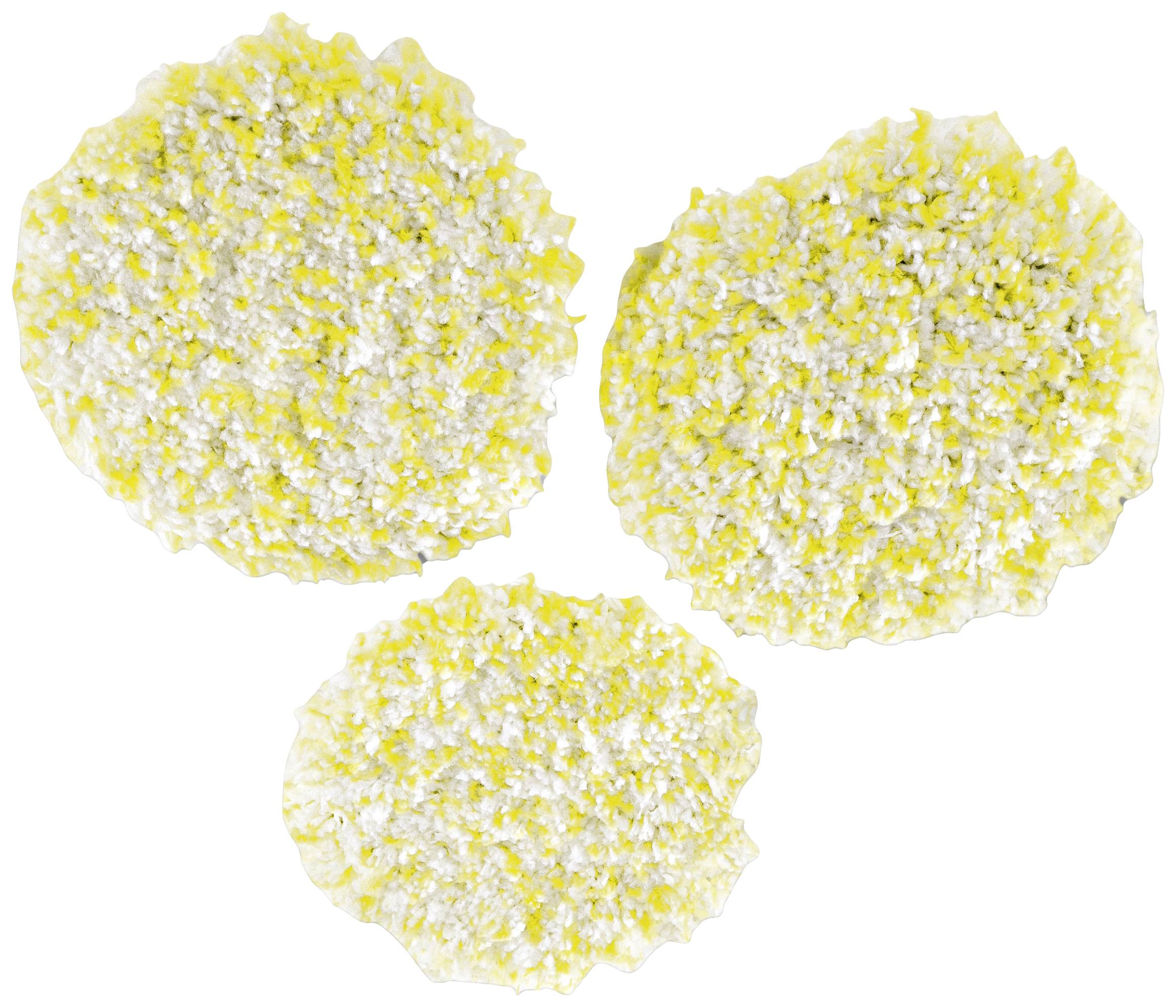 Drei runde, flache Objekte mit gelb-weißer Textur, unregelmäßig geformt, auf weißem Hintergrund.