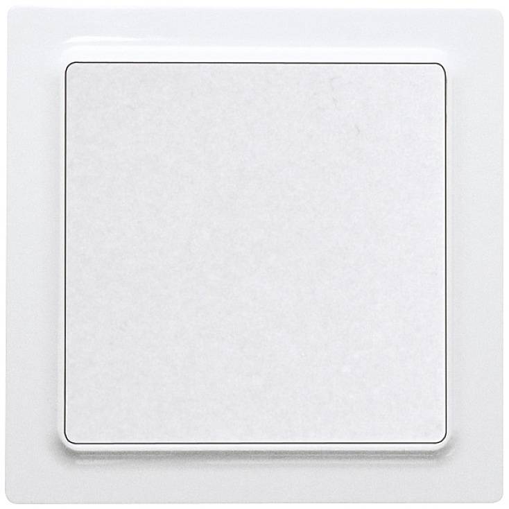 Eltako WT55E-wg Taster Unterputz