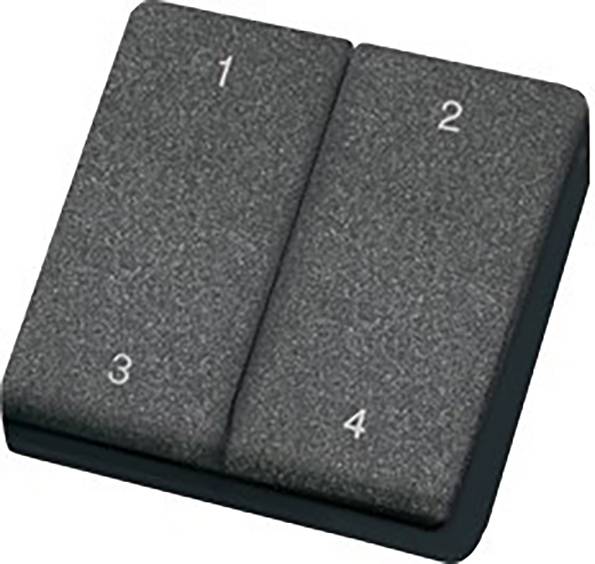 Eine schwarze Fernbedienung mit vier beschrifteten Tasten: 1, 2, 3, und 4.