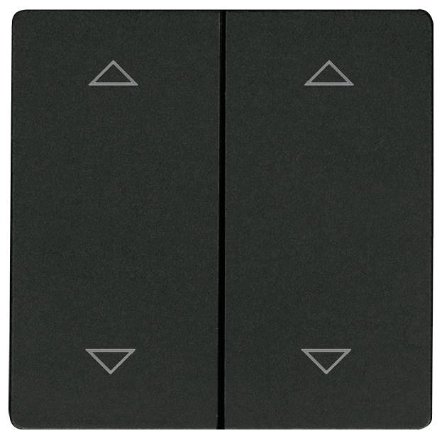 DW-F4T55E-am+2P Eltako Funk Doppel-Schalterwippe