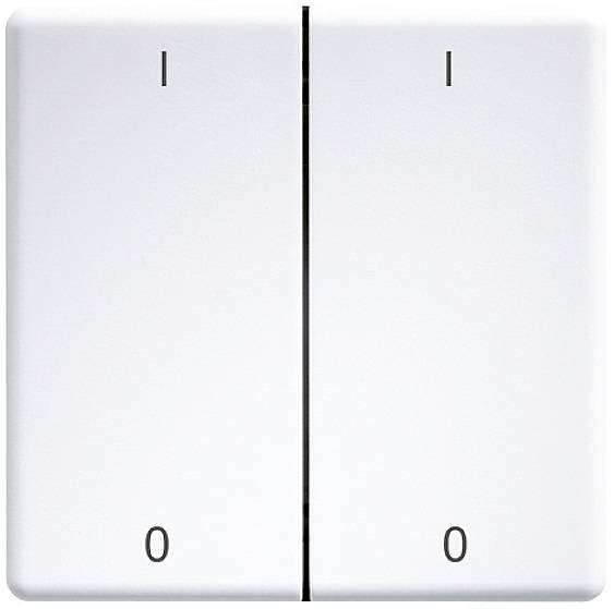 Eltako DW-FT55-wg+IO Doppel-Schalterwippe