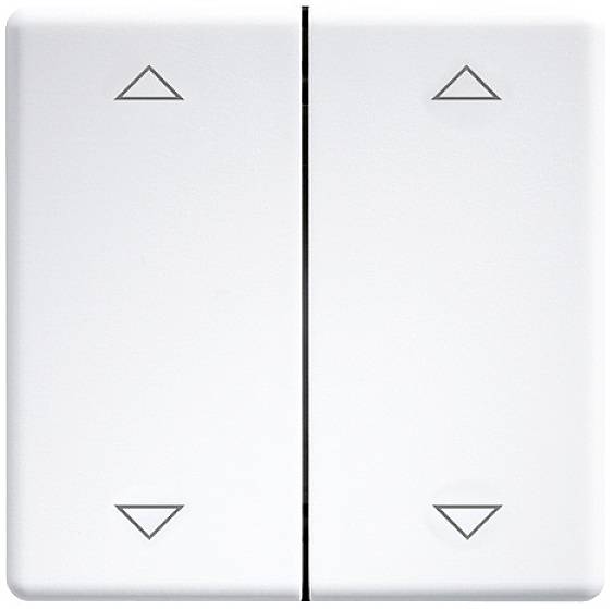 Eltako DW-FT55-wg+2P Doppel-Schalterwippe