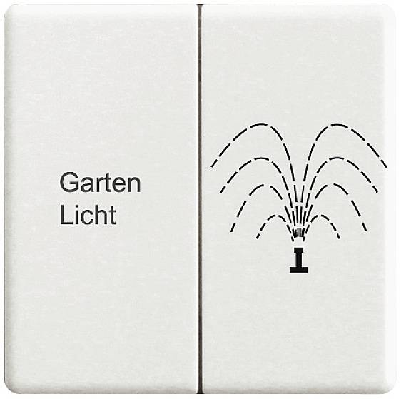 Eltako DW-FT55ES- Funk Doppel-Schalterwippe