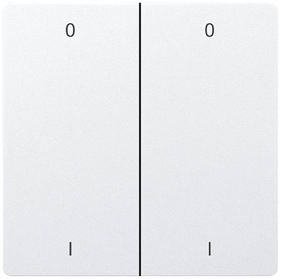 Eltako DW-F4T65B-wg+OI Funk Doppel-Schalterwippe
