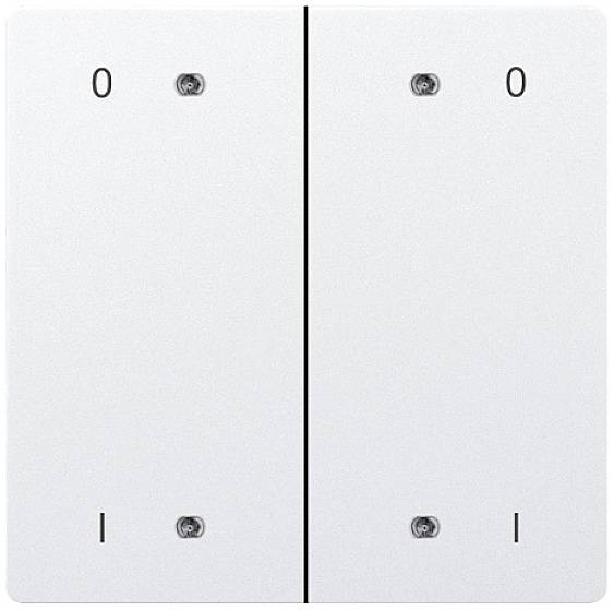 Eltako DW-B4T65-wg+OI Doppel-Schalterwippe