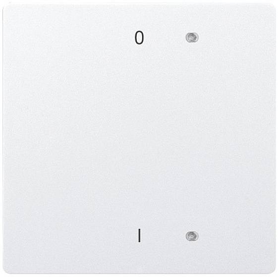 Eltako W-B4T65-wg+OI Schalterwippe