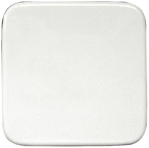 Eltako W-FT55R- Funk Tasterwippen