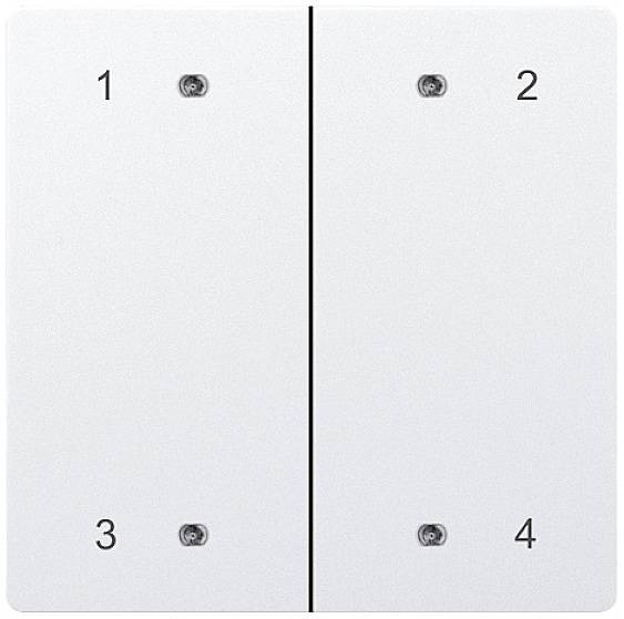 Eltako DW-B4FT65-wg- Doppel-Schalterwippe
