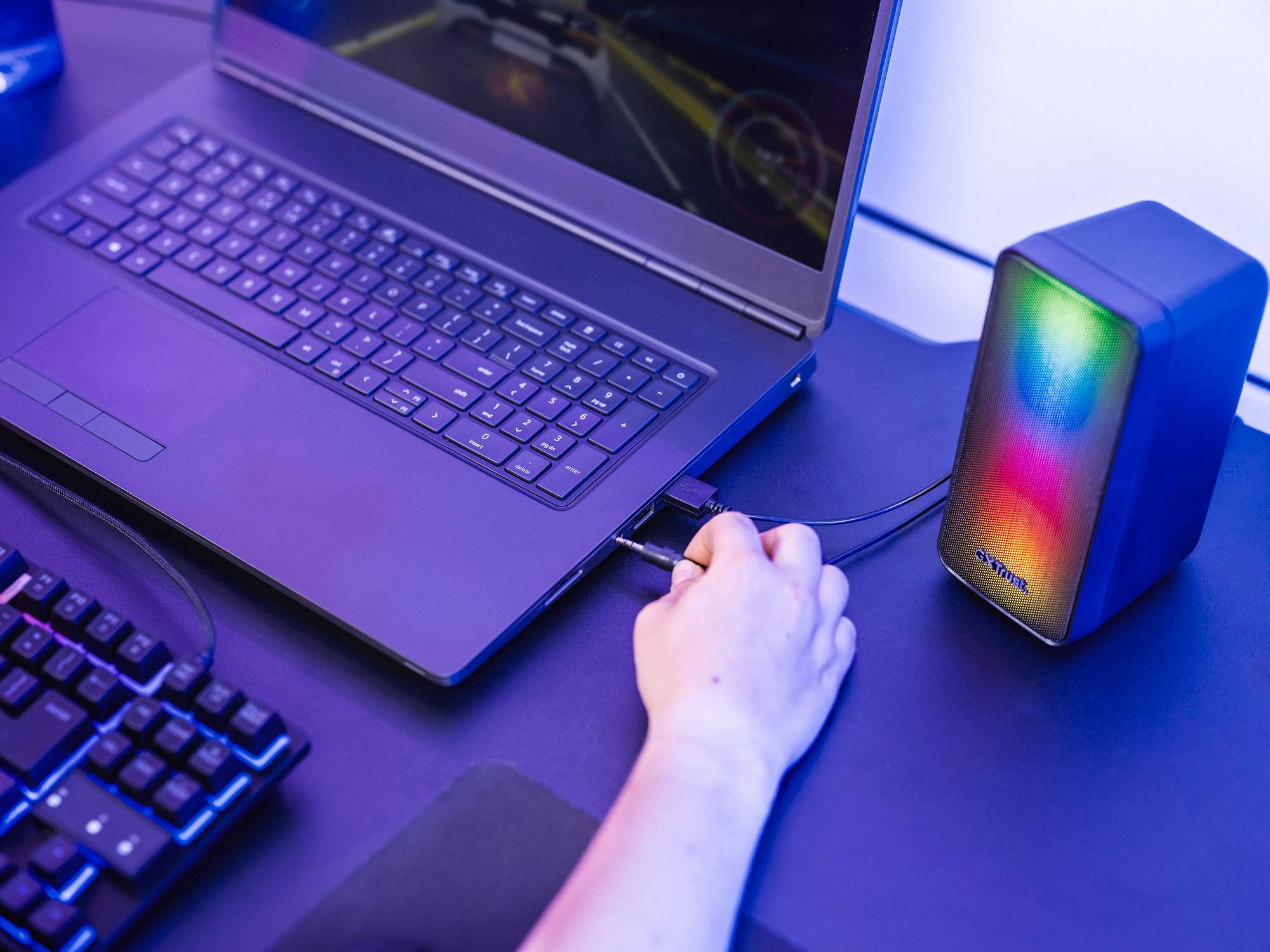 GXT 611 WEZZ - Lautsprecher - für PC - zweiweg