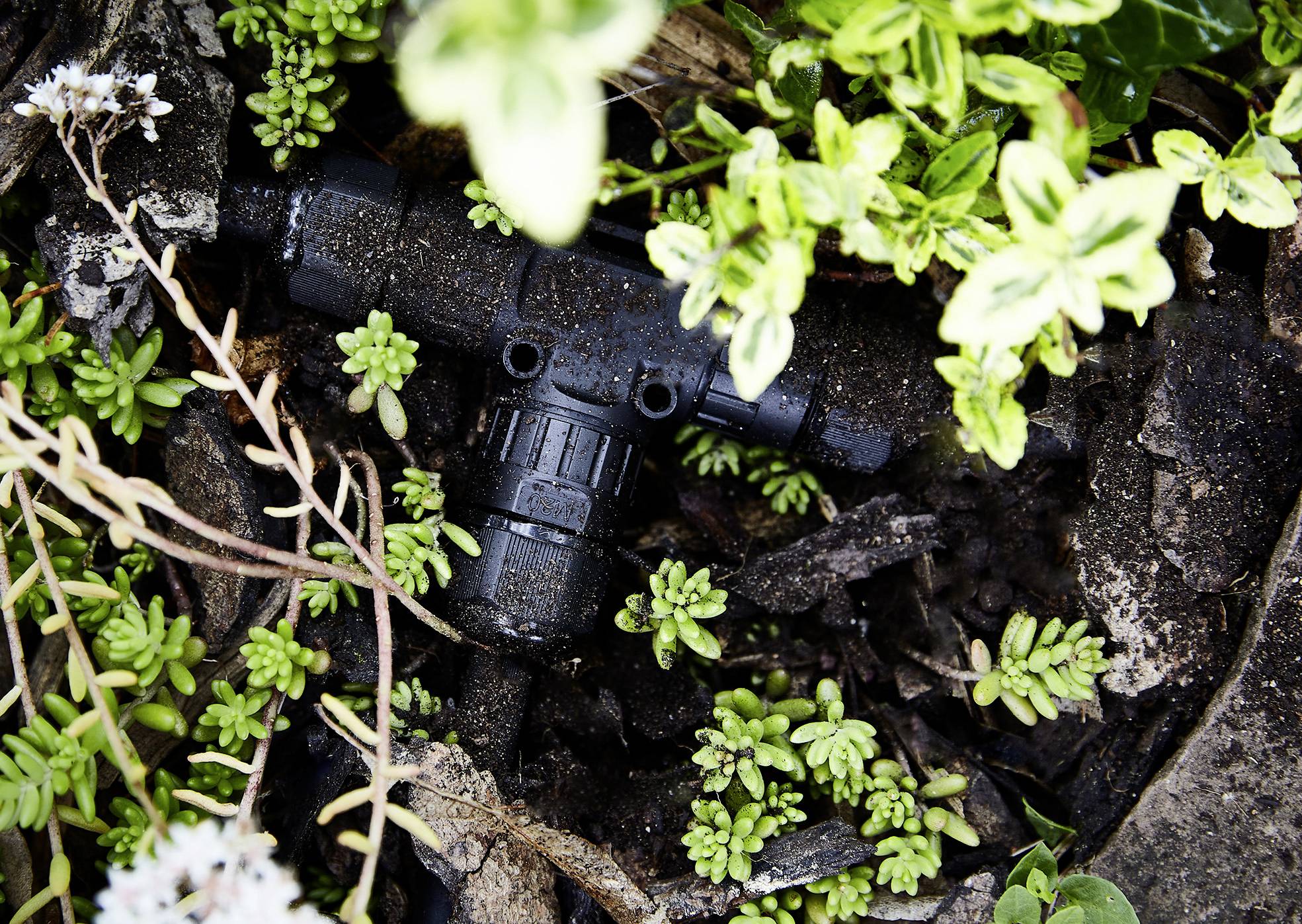 Heitronic 501339 Kabelverbinder mit Steckklemmen (L x B x H) 111 x 69 x 25mm 1St.