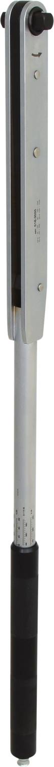 Einziehbarer Metalldetektor mit schwarzem Griff und langer silberner Sonde.