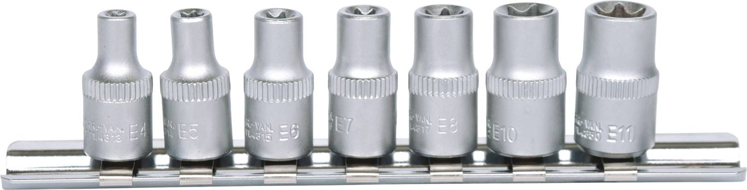 Satz von Torx-Bit-Nüssen in verschiedenen Größen auf einer Metallhalterung