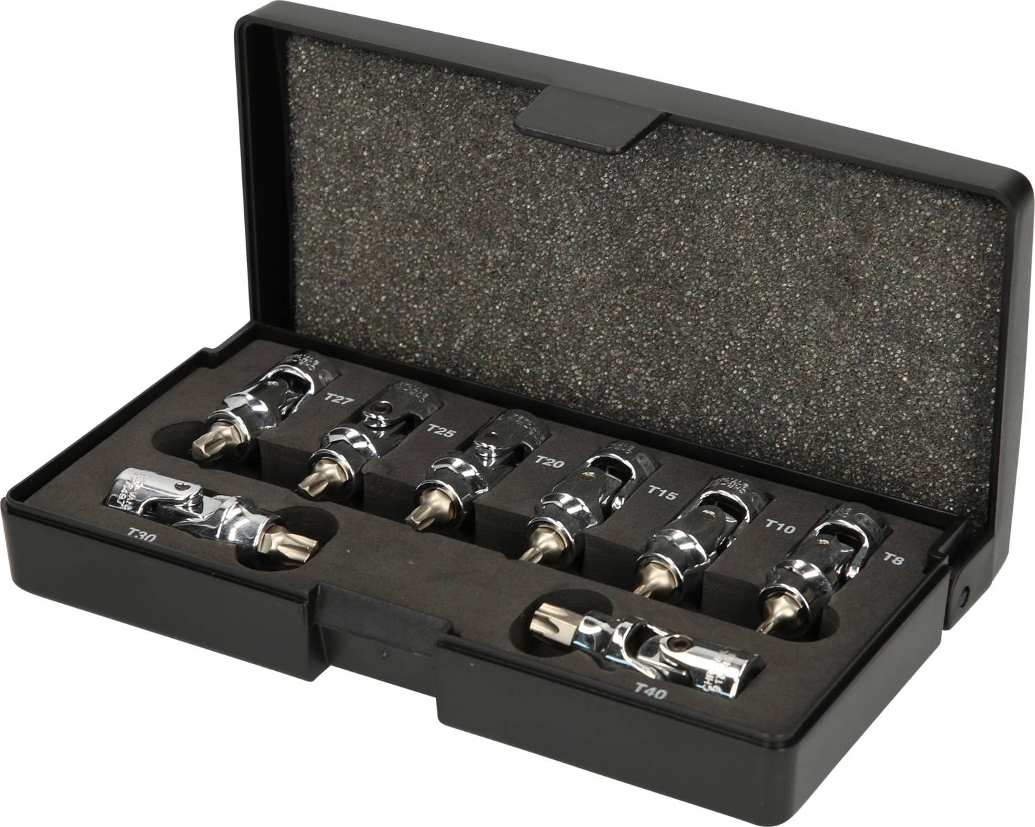 Ein schwarzer Koffer mit verschiedenen silbernen Torx-Bits (T9 bis T40) in passgenauen Halterungen.