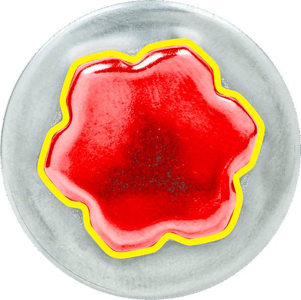 Ein silberner Knopf mit einem roten, sternförmigen Einsatz in der Mitte, umrandet von einem gelben Rand.