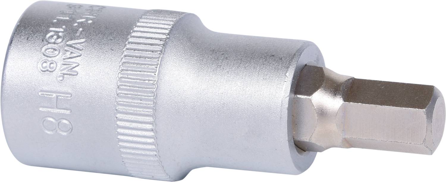 Steckschlüsseleinsatz mit Sechskant-Profil, Größe H8, aus silbermetallischem Material.