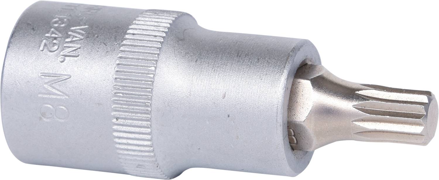 Metall-Steckaufsatz mit Sechskant-Anschluss und Torx-Profilkopf, Größe T42, geeignet für Schraubendreher oder Schraubenschlüssel.