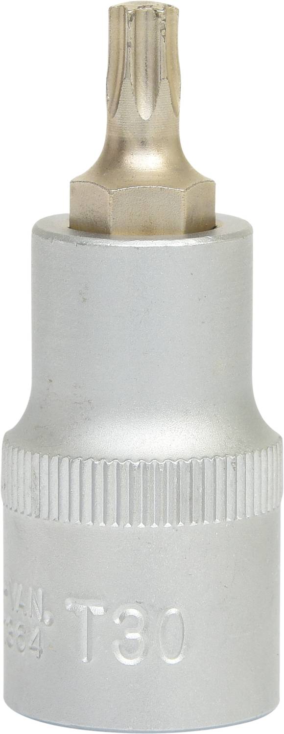 Einschraubwerkzeug mit silbernem Bitaufsatz, T30 Torx-Schraubendreher.