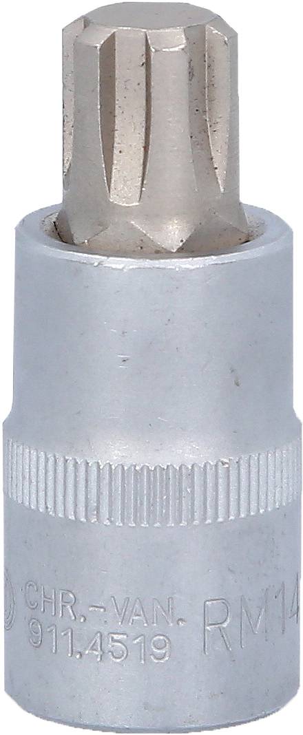 Ein metallischer Steckschlüsseleinsatz mit sternförmigem Profil, geeignet zum Festziehen oder Lösen von Schrauben mit entsprechendem Kopf.
