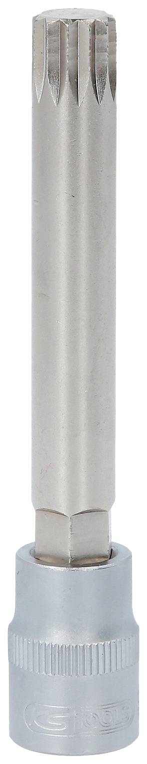 Metallischer Mehrzahn-Schlüsselaufsatz mit geriffeltem Griff, zur Verwendung mit einem Schraubenschlüssel für mechanische Arbeiten.